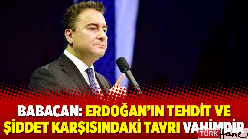 Babacan: Erdoğan’ın tehdit ve şiddet karşısındaki tavrı vahimdir