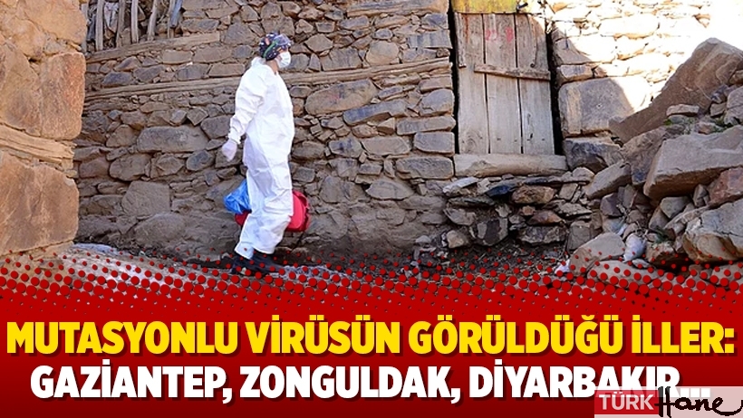 Mutasyonlu virüsün görüldüğü iller: Gaziantep, Zonguldak, Diyarbakır…