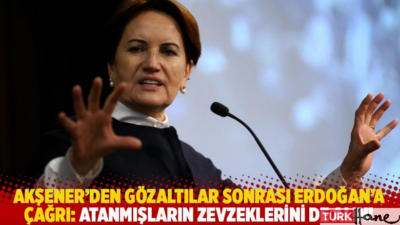 Akşener’den gözaltılar sonrası Erdoğan'a çağrı: Atanmışların zevzeklerini de alın!