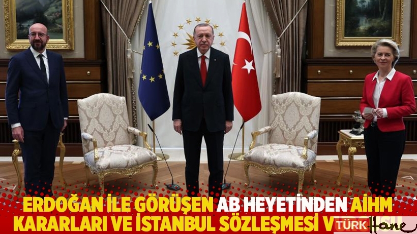 Erdoğan ile görüşen AB heyetinden AİHM kararları ve İstanbul Sözleşmesi vurgusu