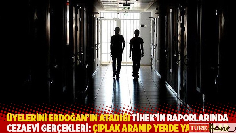 Üyelerini Erdoğan'ın atadığı TİHEK'in raporlarında cezaevi gerçekleri