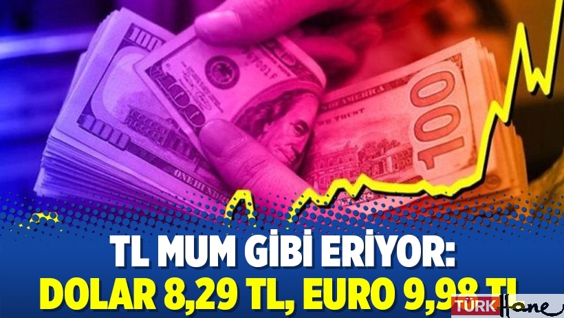 TL mum gibi eriyor: Dolar 8,29 TL, euro 9,98 TL