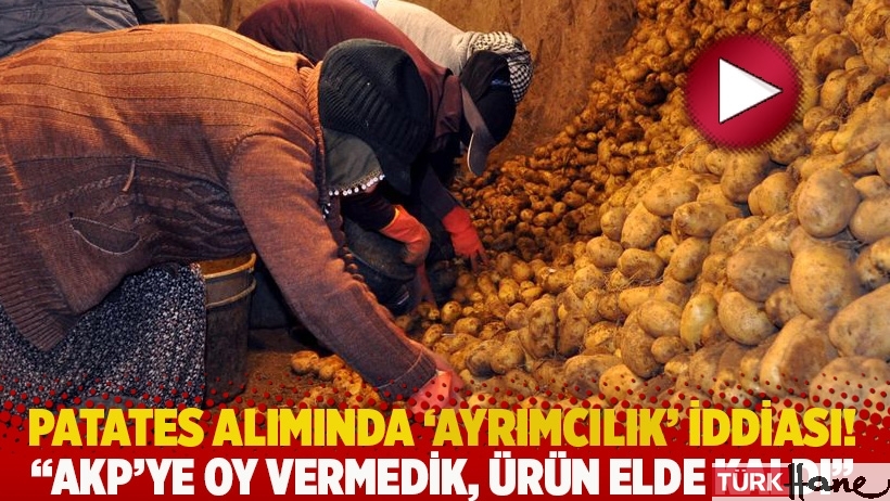 Patates alımında ‘ayrımcılık’ iddiası! AKP’ye oy vermedik, ürün elde kaldı