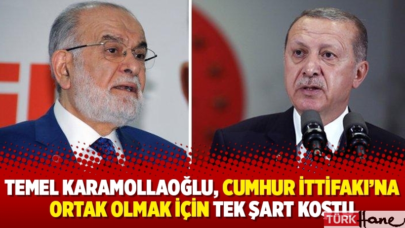 Temel Karamollaoğlu, Cumhur İttifakı'na ortak olmak için tek şart koştu