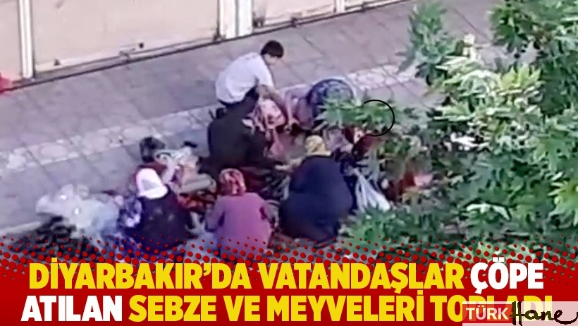 Diyarbakır'da vatandaşlar çöpe atılan sebze ve meyveleri topladı