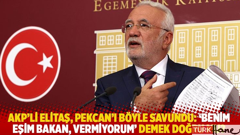 AKP'li Elitaş, Pekcan'ı böyle savundu: 'Benim eşim bakan, vermiyorum' demek doğru mu?