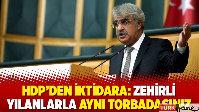 HDP’den iktidara: Zehirli yılanlarla aynı torbadasınız