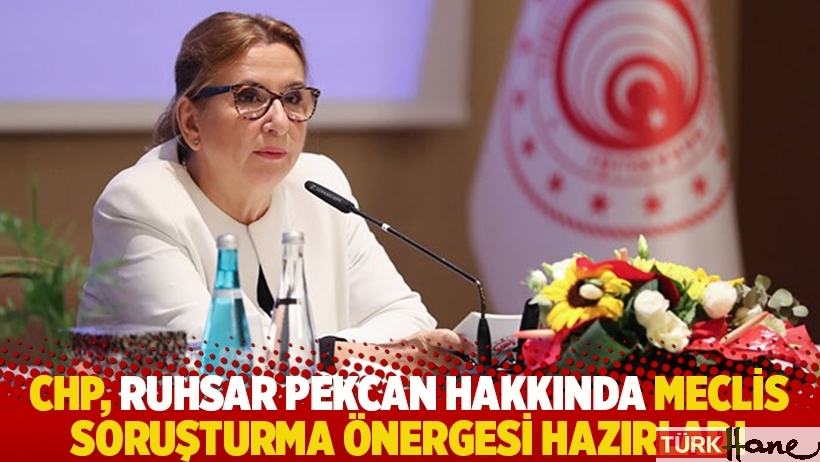 CHP, Ruhsar Pekcan hakkında meclis soruşturma önergesi hazırladı