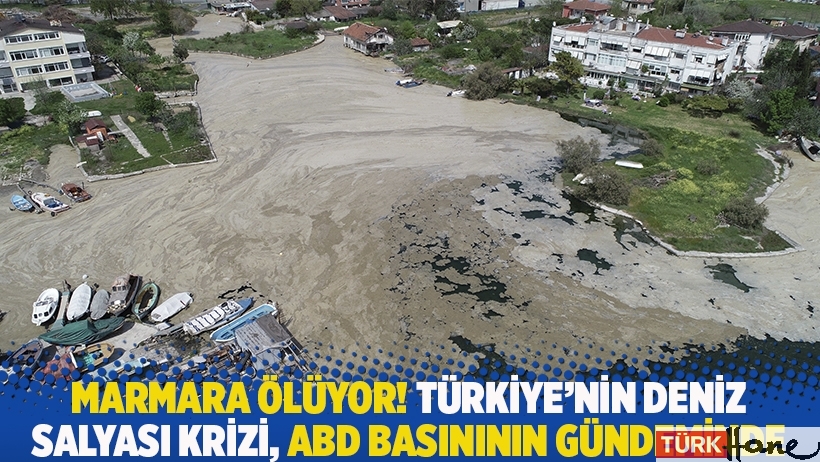 Türkiye'nin deniz salyası krizi, ABD basınının gündeminde: Marmara ölüyor