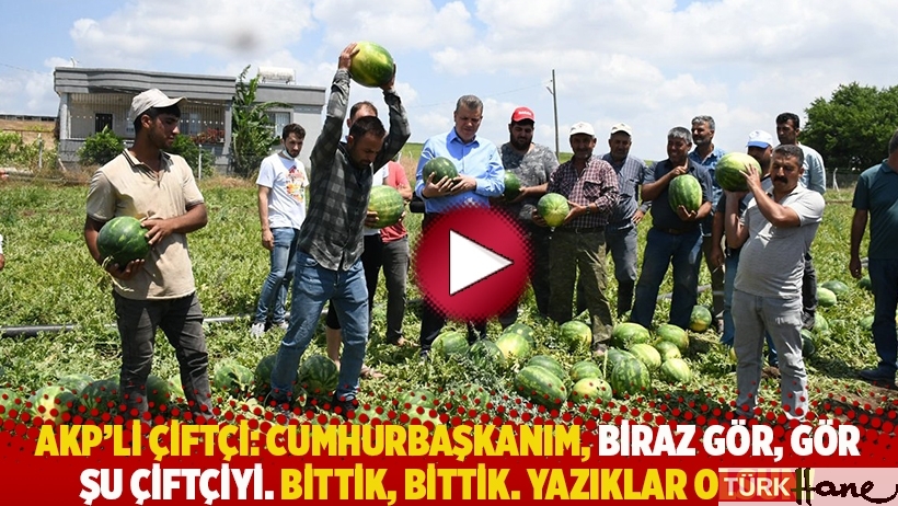 AKP'li çiftçi: Cumhurbaşkanım, biraz gör, gör şu çiftçiyi. Bittik, bittik. Yazıklar olsun!