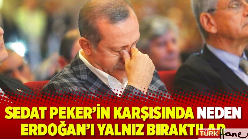 Sedat Peker’in karşısında neden Erdoğan’ı yalnız bıraktılar