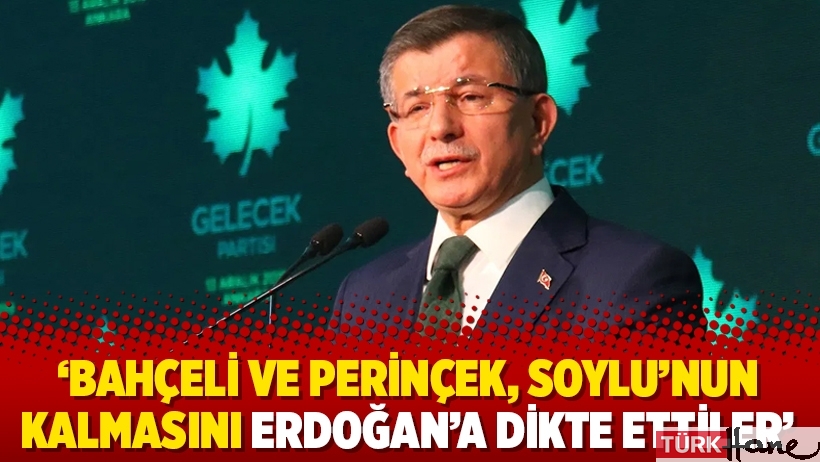 ‘Bahçeli ve Perinçek, Soylu’nun kalmasını Erdoğan’a dikte ettiler’