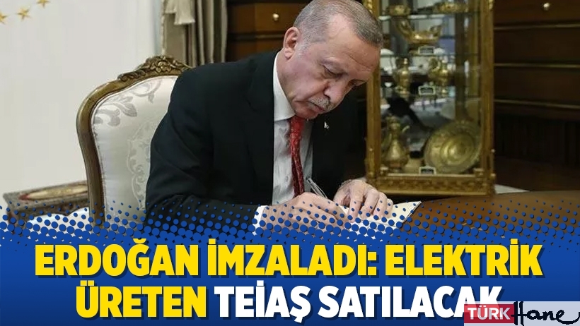 Erdoğan imzaladı: Elektrik üreten TEİAŞ satılacak
