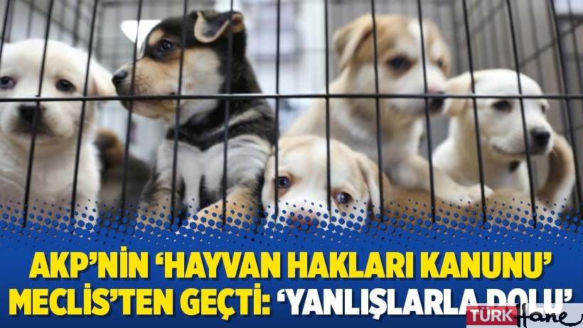 AKP’nin ‘Hayvan Hakları Kanunu’ Meclis’ten geçti: ‘Yanlışlarla dolu’