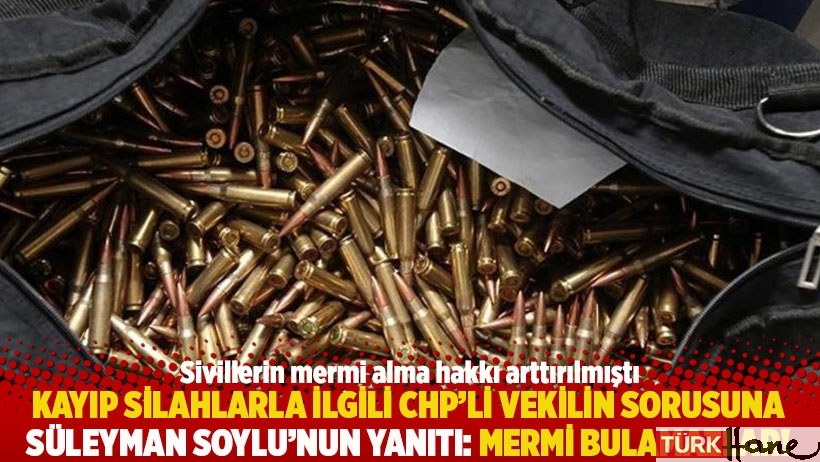 Kayıp silahlarla ilgili CHP'li vekilin sorusuna Soylu'nun yanıtı: Mermi bulamazlar 