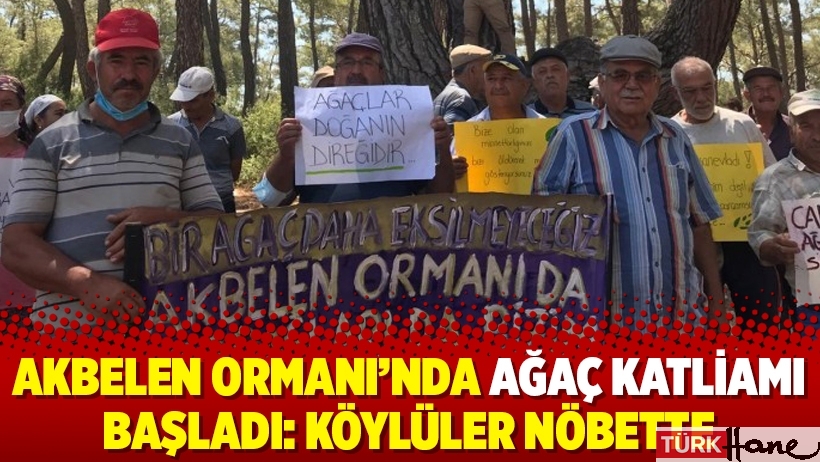 Akbelen Ormanı’nda ağaç katliamı başladı: Köylüler nöbette