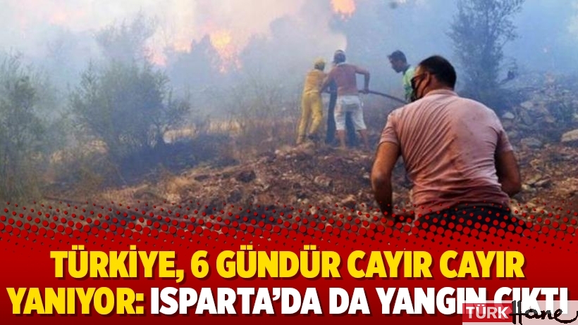 Türkiye, 6 gündür cayır cayır yanıyor: Isparta’da da yangın çıktı