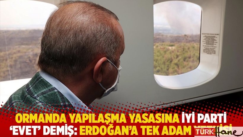 Ormanda yapılaşma yasasına İYİ Parti 'evet' demiş: Erdoğan'a tek adam yetkisi