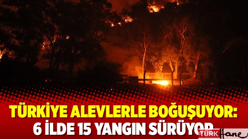 Türkiye alevlerle boğuşuyor: 6 ilde 15 yangın sürüyor