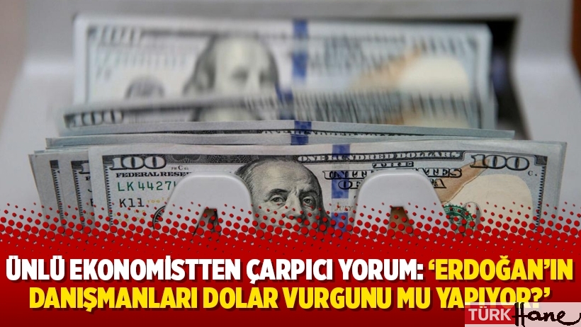 Ünlü ekonomistten çarpıcı yorum: 'Erdoğan'ın danışmanları dolar vurgunu mu yapıyor?'