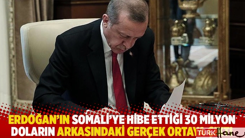 Erdoğan'ın Somali'ye hibe ettiği 30 milyon doların arkasındaki gerçek ortaya çıktı