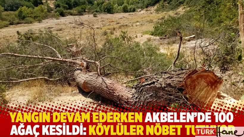 Yangın devam ederken Akbelen'de 100 ağaç kesildi: Köylüler nöbet tutuyor