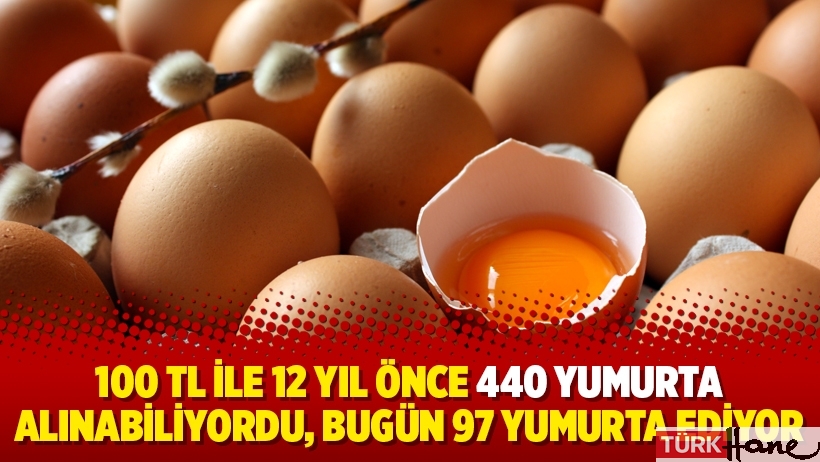 100 TL ile 12 yıl önce 440 yumurta alınabiliyordu, bugün 97 yumurta ediyor