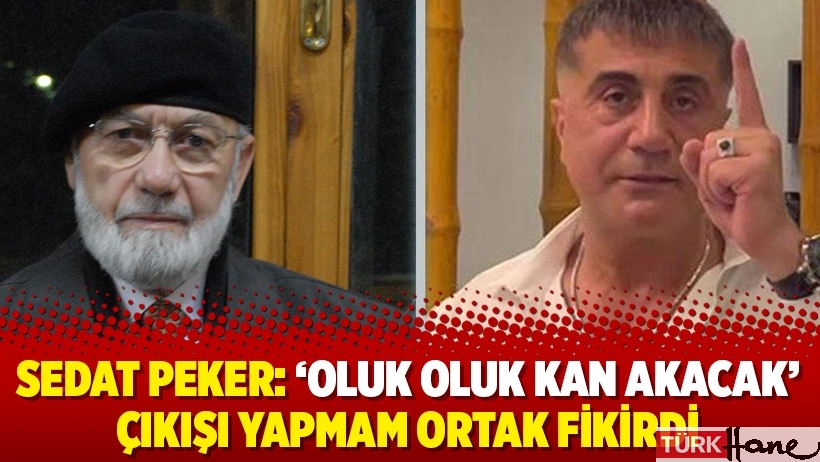 Sedat Peker: ‘Oluk oluk kan akacak’ çıkışı yapmam ortak fikirdi