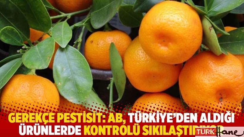 AB, Türkiye’den aldığı ürünlerde kontrolü sıkılaştırıyor: Gerekçe pestisit