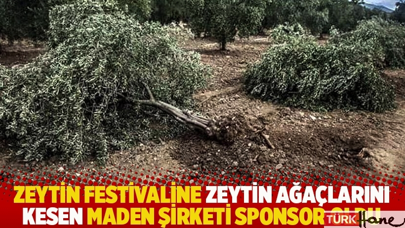 Zeytin festivaline zeytin ağaçlarını kesen maden şirketi sponsor oldu