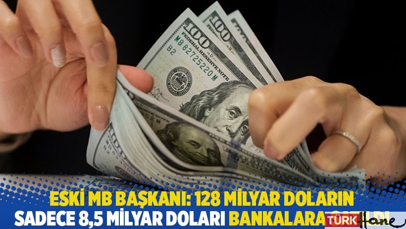 Eski MB başkanı: 128 milyar doların sadece 8,5 milyar doları bankalara satıldı