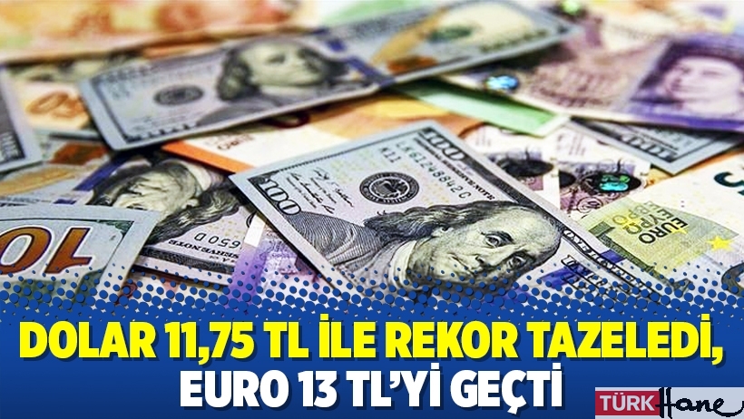 Dolar 11,75 TL ile rekor tazeledi, euro 13 TL’yi geçti