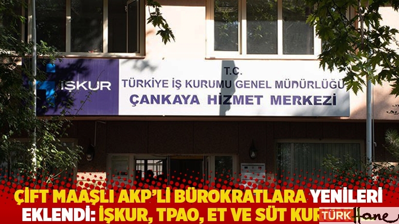 Çift maaşlı AKP'li bürokratlara yenileri eklendi: İŞKUR, TPAO, Et ve Süt Kurumu...