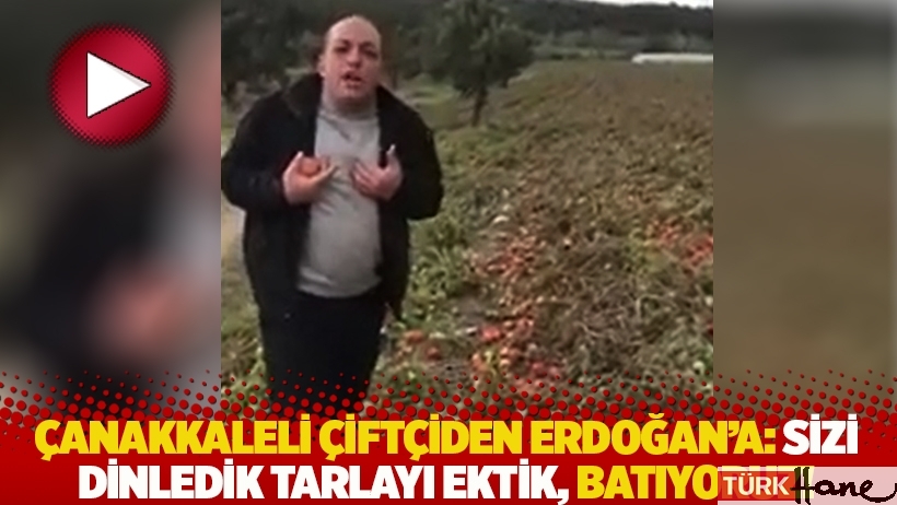 Çanakkaleli çiftçiden Erdoğan’a: Sizi dinledik tarlayı ektik, batıyoruz!