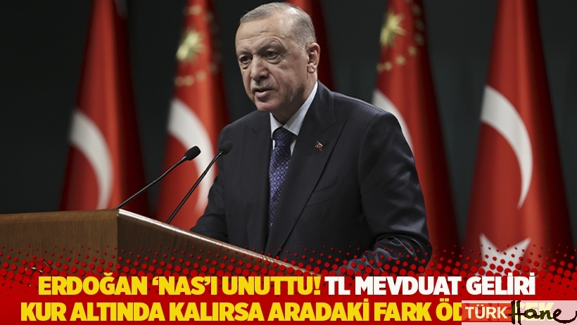 Erdoğan yeni tedbirleri açıkladı: TL mevduata 'kur farkı'