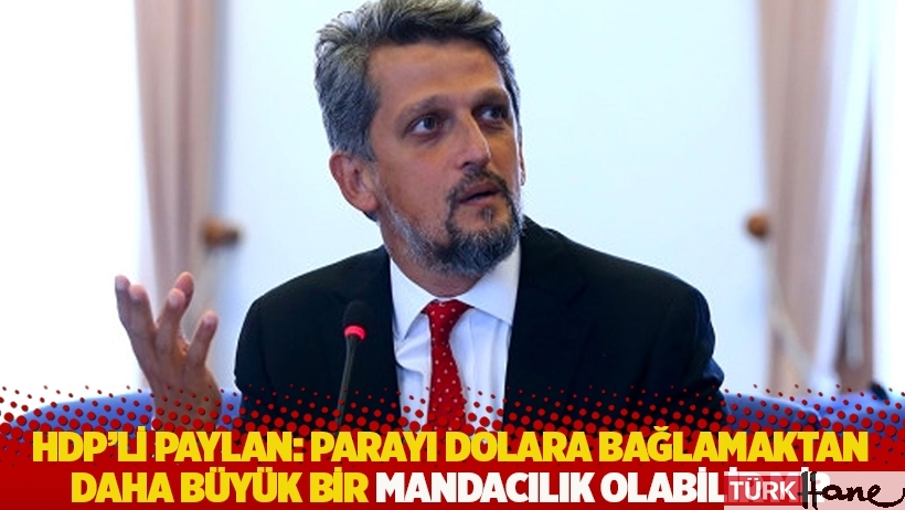 HDP’li Paylan: Parayı dolara bağlamaktan daha büyük bir mandacılık olabilir mi?