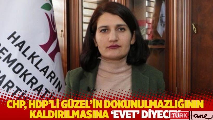 CHP, HDP’li Semra Güzel'in dokunulmazlığının kaldırılmasına ‘Evet’ diyecek
