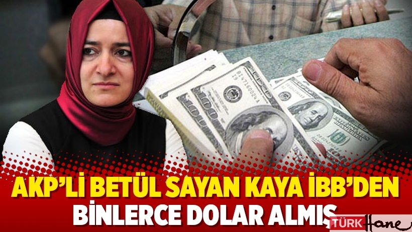 AKP'li Betül Sayan Kaya İBB'den binlerce dolar almış