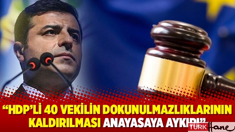 AİHM: HDP’li 40 vekilin dokunulmazlıklarının kaldırılması anayasaya aykırı