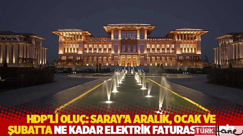  HDP'li Oluç: Saray'a aralık, ocak ve şubatta ne kadar elektrik faturası geldi?