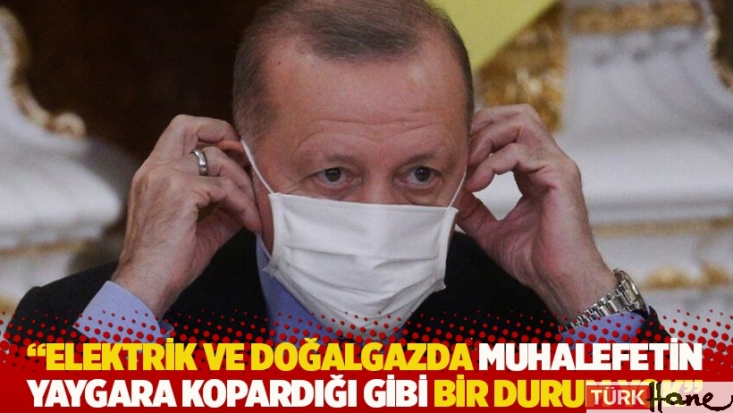  Erdoğan: Elektrik ve doğalgazda muhalefetin yaygara kopardığı gibi bir durum yok