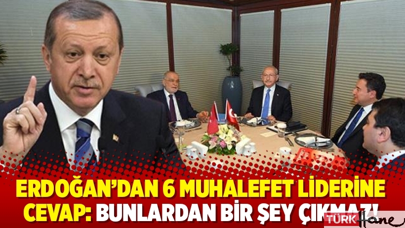 Erdoğan'dan 6 muhalefet liderine cevap: Bunlardan bir şey çıkmaz!