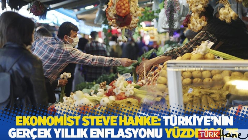 Ekonomist Hanke: Türkiye'nin gerçek yıllık enflasyonu yüzde 108.75