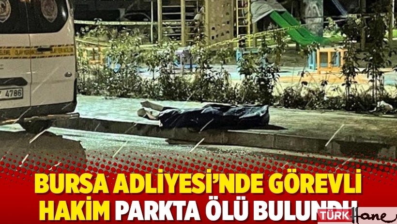 Bursa Adliyesi'nde görevli hakim parkta ölü bulundu