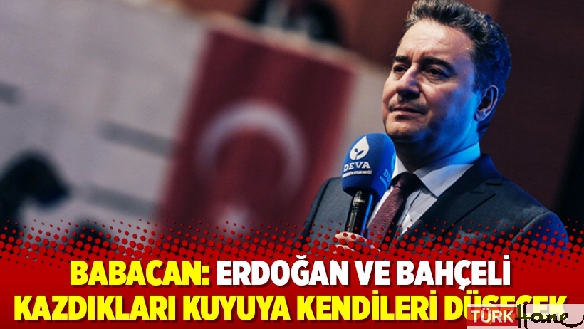 Babacan: Erdoğan ve Bahçeli kazdıkları kuyuya kendileri düşecek