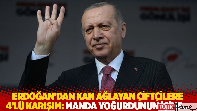 Erdoğan'dan kan ağlayan çiftçilere 4'lü karışım: Manda yoğurdunun içine...