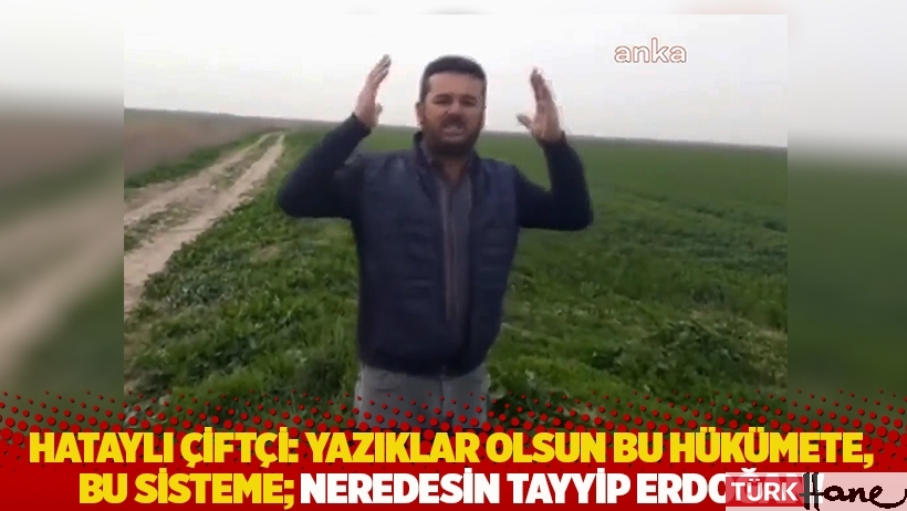 Hataylı çiftçi: Yazıklar olsun bu hükümete, bu sisteme; neredesin Tayyip Erdoğan!