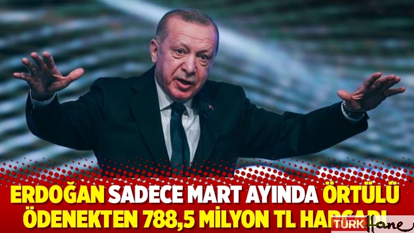 Erdoğan sadece mart ayında örtülü ödenekten 788,5 milyon TL harcadı