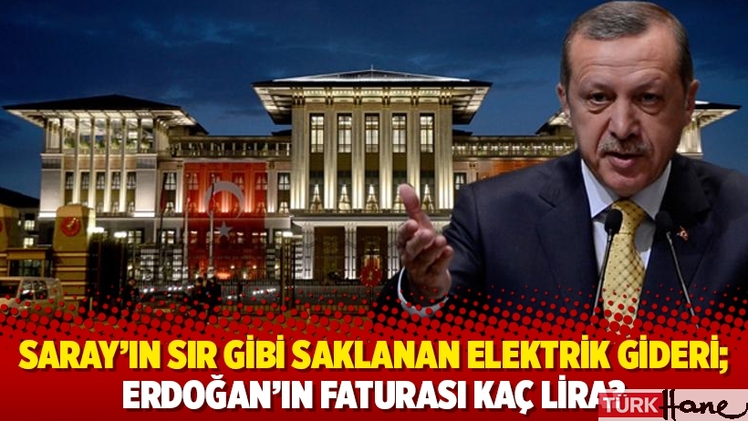 Saray’ın sır gibi saklanan elektrik gideri; Erdoğan’ın faturası kaç lira?