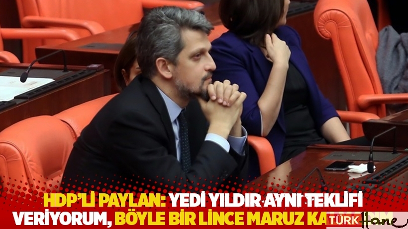 HDP’li Paylan: Yedi yıldır aynı teklifi veriyorum, böyle bir lince maruz kalmadım